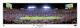 Super Bowl Xliv New Orleans Saints Beat Indianapolis Colts Panoramic Poster 1039